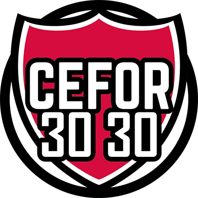CEFOR 3030