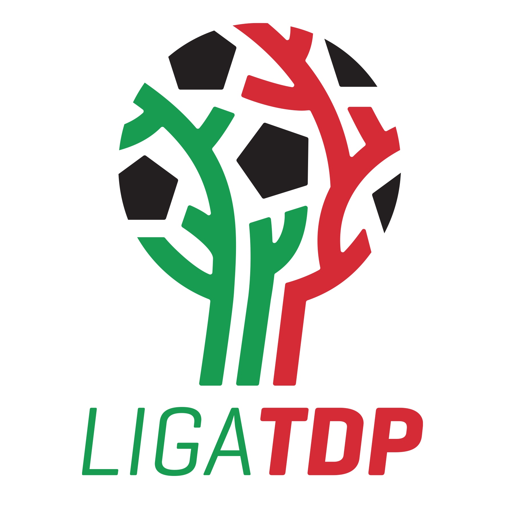 Liga TDP