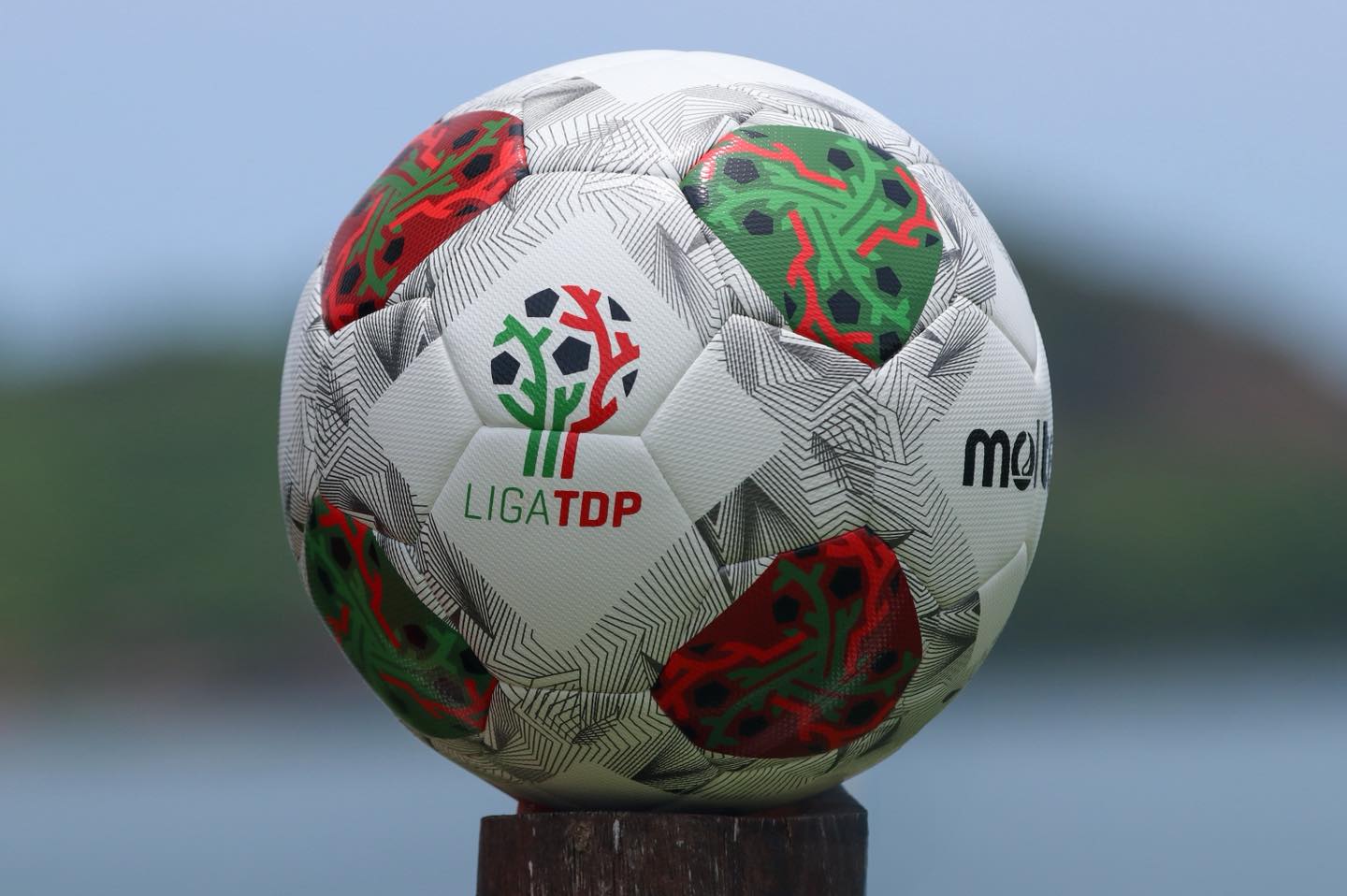 Liga TDP